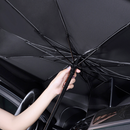 Automotive Sunscreen