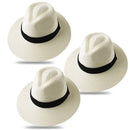 Panama type hat