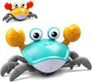 Fun Crab